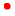 TG_Photoelectric-75.gif