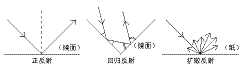 TG_Photomicro-4.gif