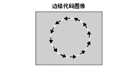 TG_Vision-17.gif
